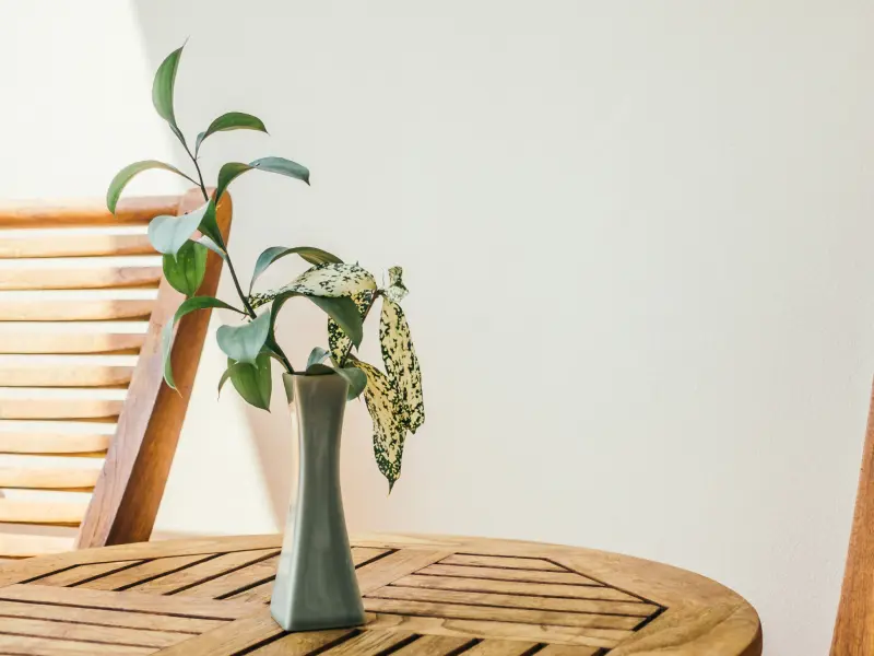 postagem em destaque