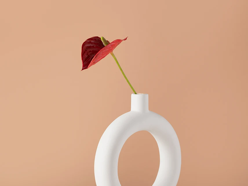 postagem em destaque